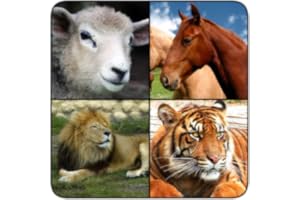 Animal Sounds Safari HD - NO ADS