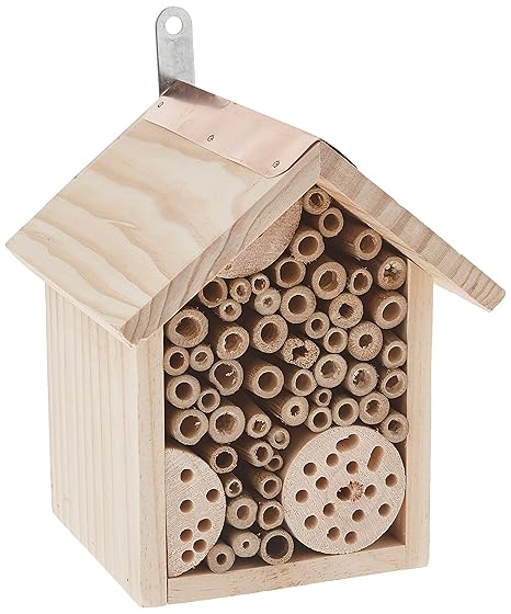 Evergreen Bee Habitat Wall Mounted Amazon In Garden Outdoors