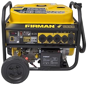 Firman P08003 Remote Start Gas Portable Generator