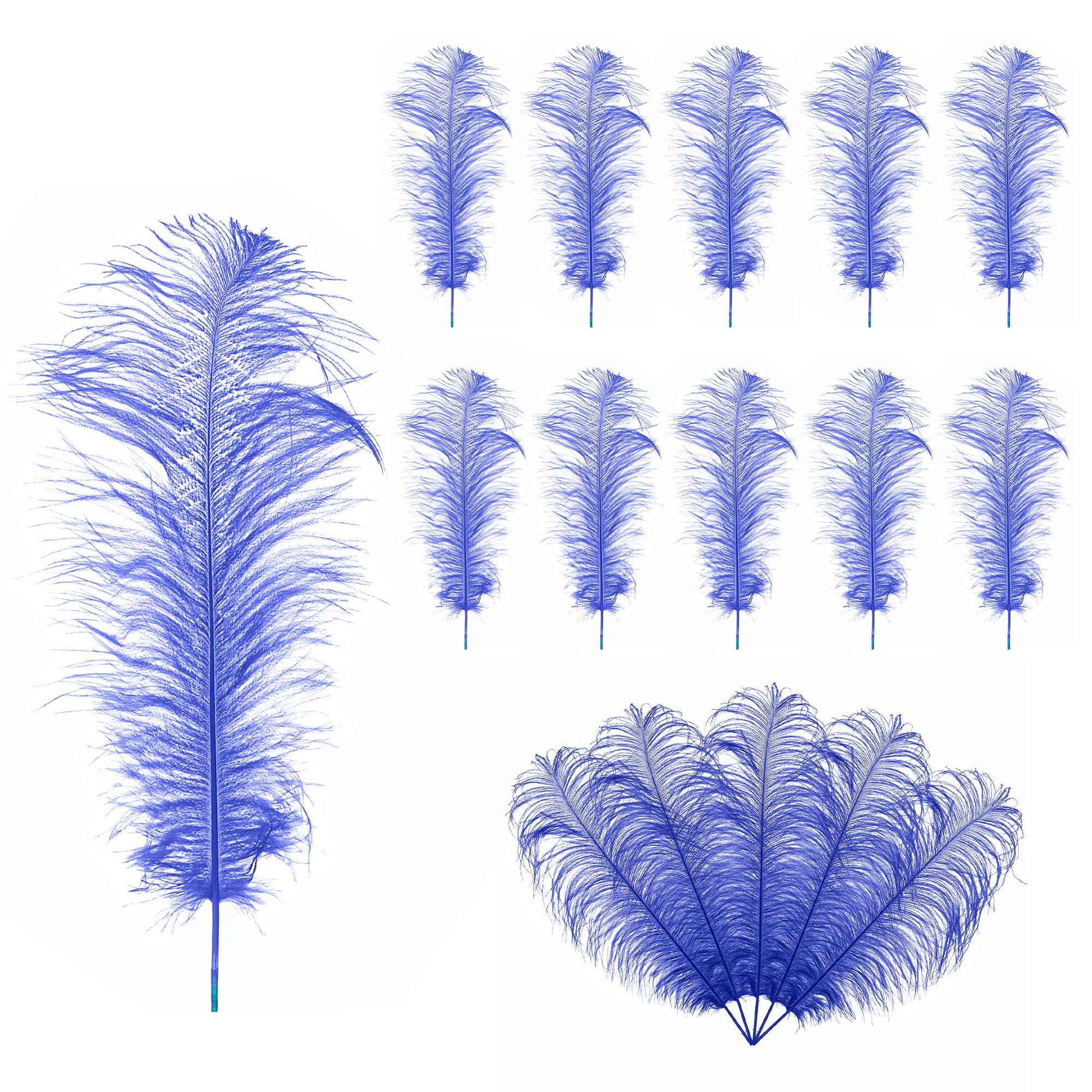 19"-23"(50cm - 60cm) Large Ostrich Feathers, Showgirl Spadones - for Decorating Costumes, Headdresses, Weddings & Party Table Decoration, Playing with Pets and Horse Plume, Royal Blue, 10pcs