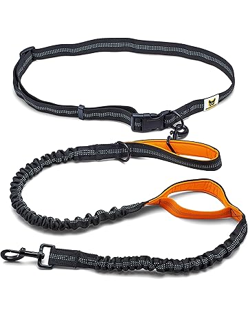 amazon dog leash and collar
