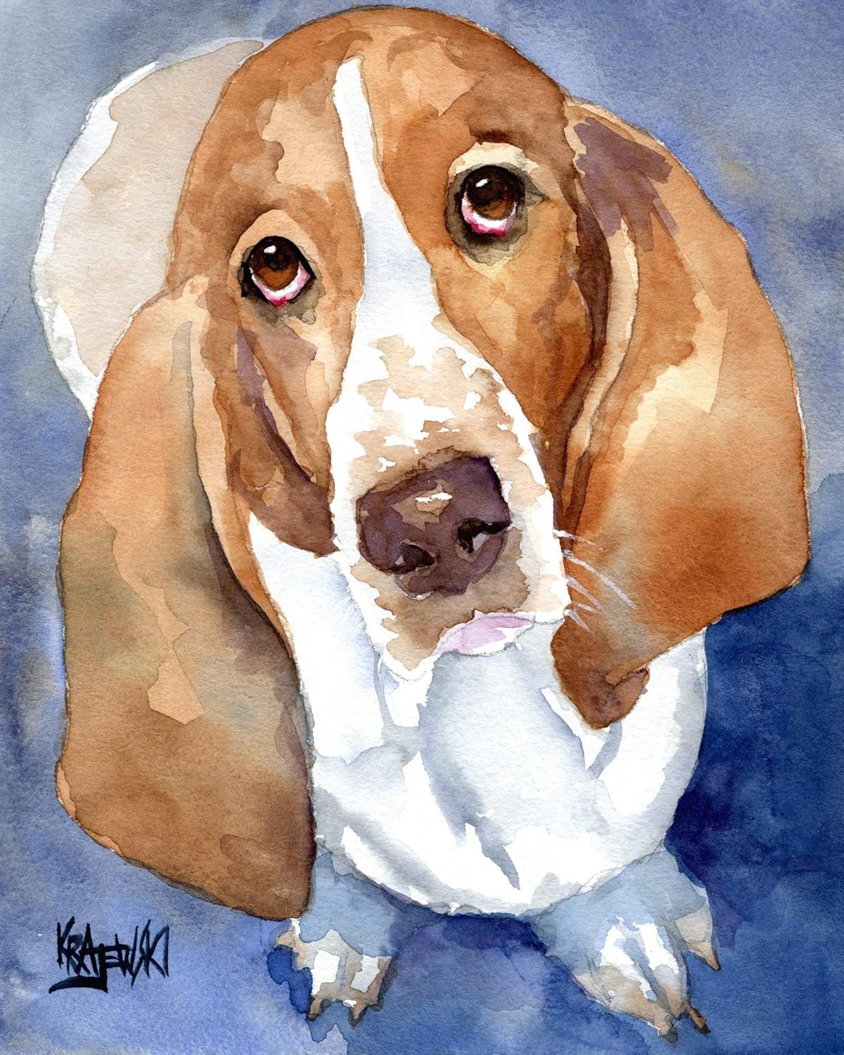 basset hound gifts amazon