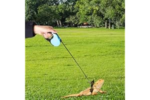 OOXYG Retractable Bearded Dragon Leash with Dinosaur Wings, Comfortable Bearded Dragon Harness, Lizard Leash Bearded Dragon, 3 Sizes Adjustable Escape-Proof Design