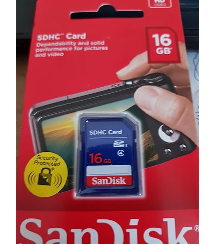 Amazon.com: SanDisk 16GB Class 4 SDHC Flash Memory Card - 2 Pack