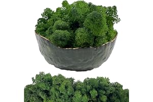 Gusaloo Moss Preserved Artificial Moss 8.8 oz Natural Fresh Green Moss for Craft Arts Floral Project Wall Decor Table Decor Wedding Centerpieces Garden Terrariums Decoration