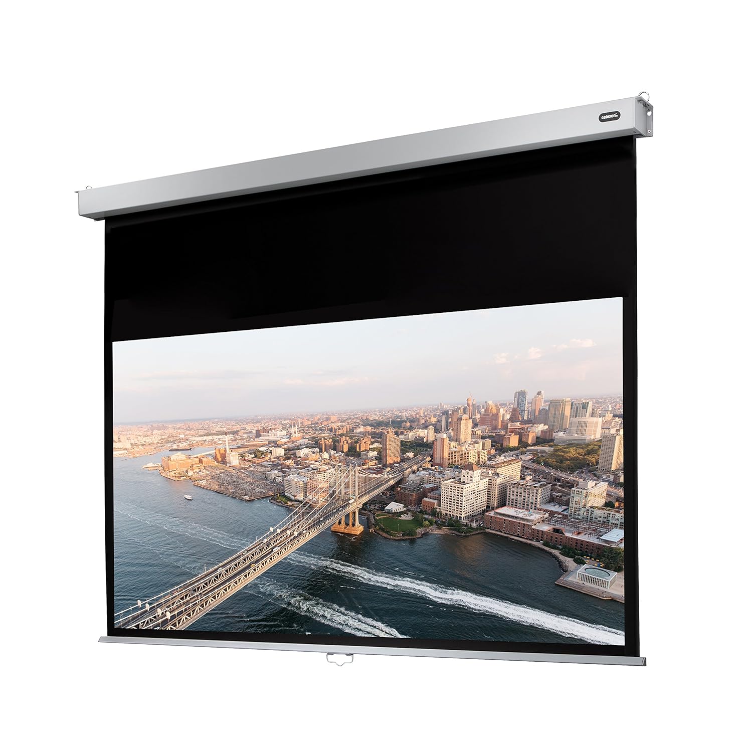 Celexon Professional Plus x mm pizarrón blanco Accesorio pizarra mm mm x