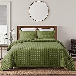 Green Twin Size Quilt Bedding Sets with Pillow