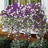 Lcuasc 2Pcs Outdoor Faux Hanging Flowers Artificial Morning Glory with Eucalyptus Leaves UV Resistant Look Real Fake Plants for Outside Planter Porch Patio Balcony Yard Decor (Purple & Purple White)