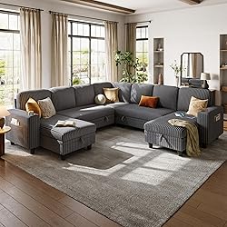 LINSY HOME Sectional Sleeper Sofa with Pull Out
