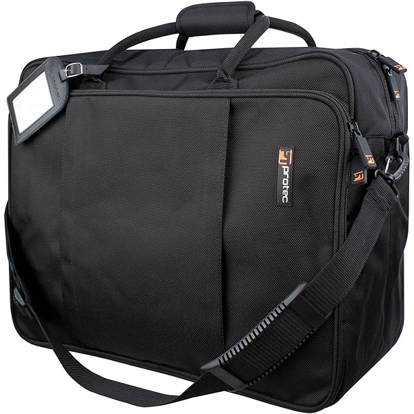Amazon.com: MOOG SR Case for Subsequent 25 Synthesizer : Musical