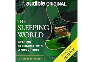 The Sleeping World: Evening Serenades with a Coquí Frog