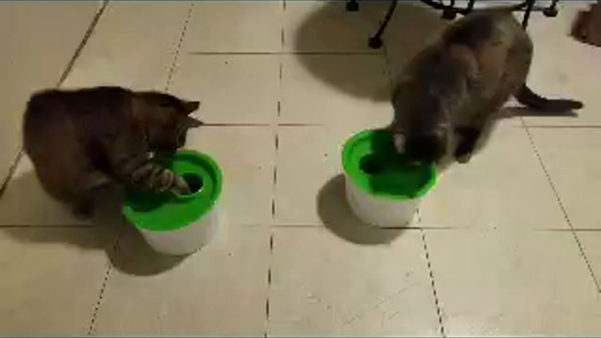 video