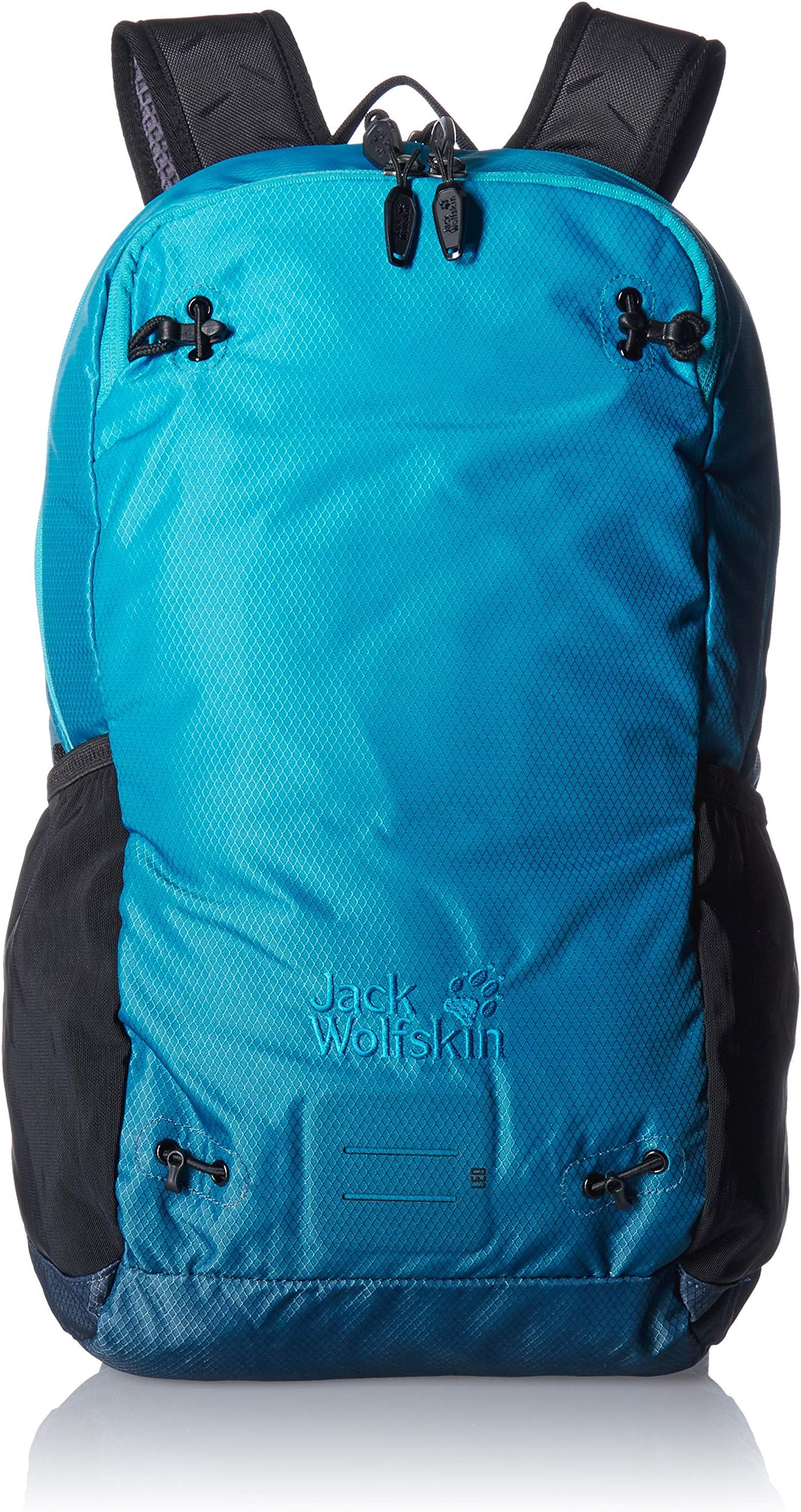 Jack Wolfskin Halo 22 Hiking Backpack