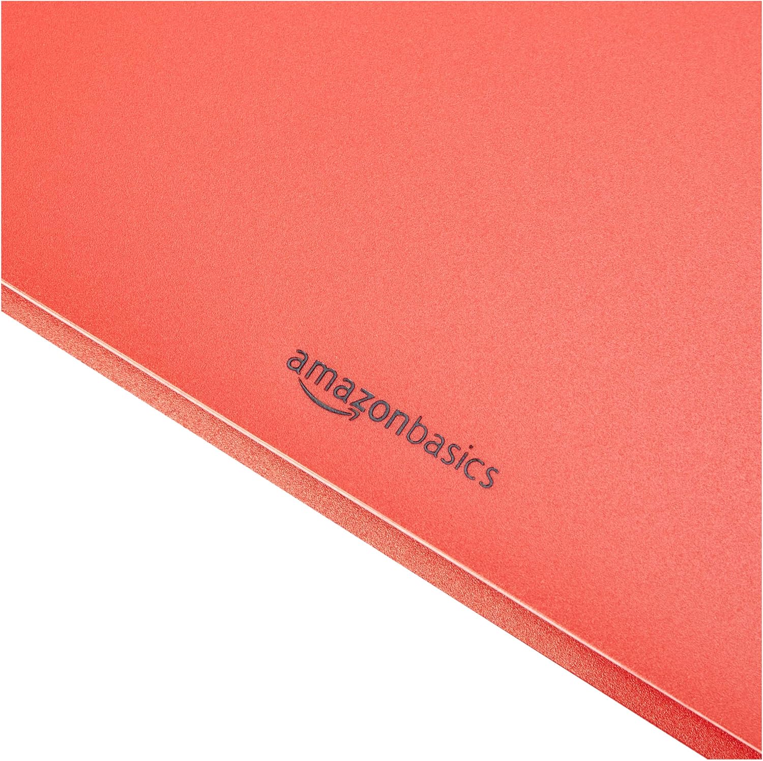 Basics Heavy Duty Plastic Folders with 2 Pockets for Letter Size Paper, Pack of 12 : Office Products