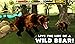 Wildlife Simulator: Bear