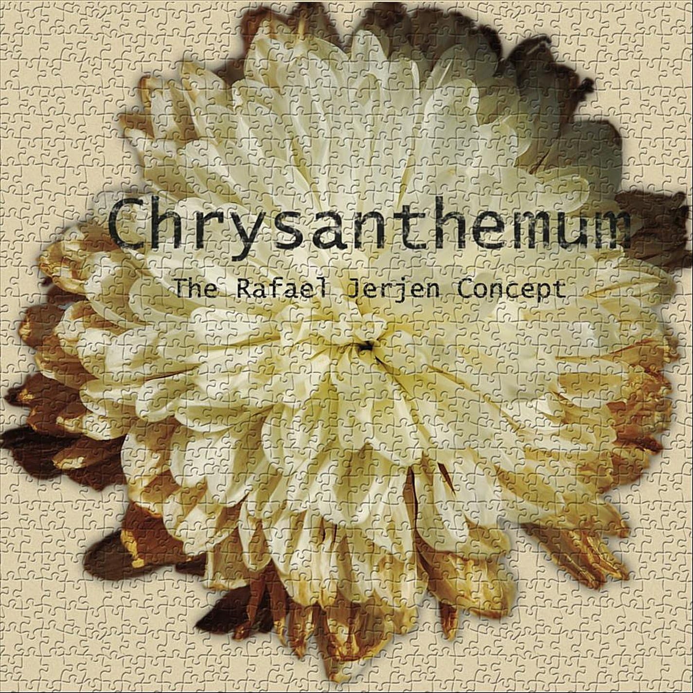 Chrysanthemum Amazon.co.uk