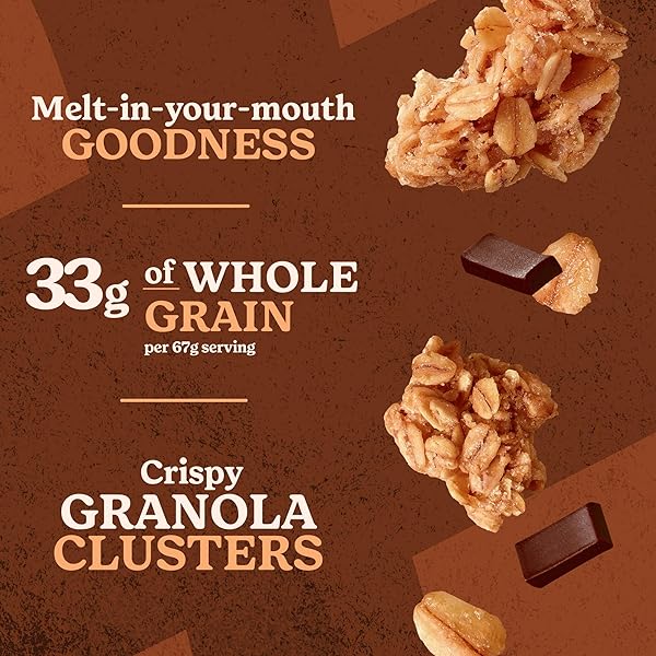 KELLOGG’S EXTRA GRANOLA, WHOLE GRAIN, ON-THE-GO SNACKS, CHOCOLATE CHUNK, 11OZ BAG (1 BAG)