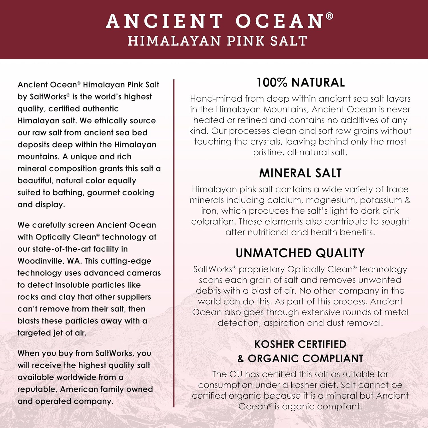 SaltWorks Ancient Ocean Himalayan Pink Salt, Fine Grain, 5 Pound Bulk Bag: Grocery & Gourmet Food