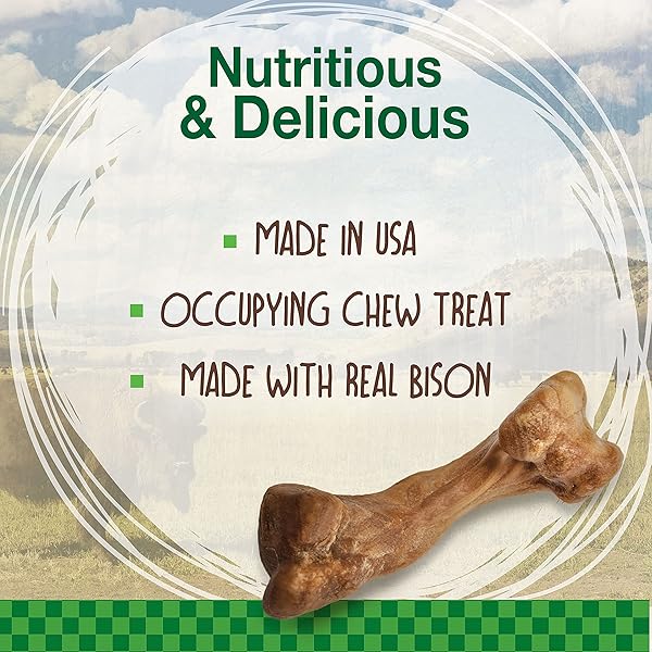 NYLABONE HEALTHY EDIBLES WILD NATURAL DOG CHEW TREATS, BISON FLAVOR, SMALL DOGS UP TO 20 LBS – MADE IN USA (16 COUNT)