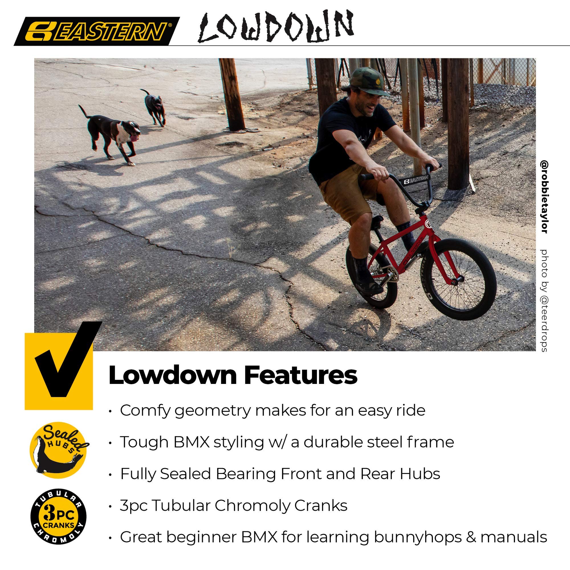 Eastern Bikes Shovelhead 20-Inch BMX, Full Lightweight Chromoly Frame, Forks & Bars