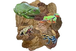 Awesome Aquatic Terrarium Frog Leaf Litter 50 2” Mini Catappa Leaves Provides Shelter, Increases Microfana, and Regulates Humidity, Promotes Breeding and Regulation of pH in Substrate Easy to Use