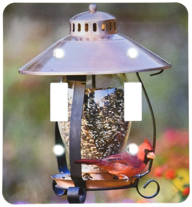 Best Cardinal Bird Feeders Reviews Best Rated Cardinal Bird