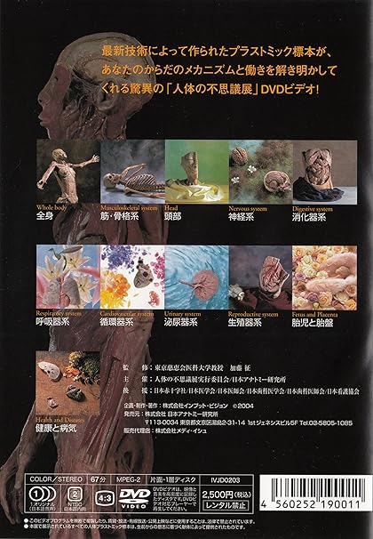 Amazon Com 人体の不思議展 Dvd Movies Tv Amazon Com 人体の不思議展 Dvd Movies Tv