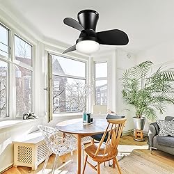 SUNMORY Ceiling Fans with Lights and Remote, 22