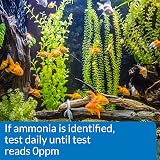 API Ammonia Test Strips 25-Test Box for Freshwater & Saltwater Aquariums view 3