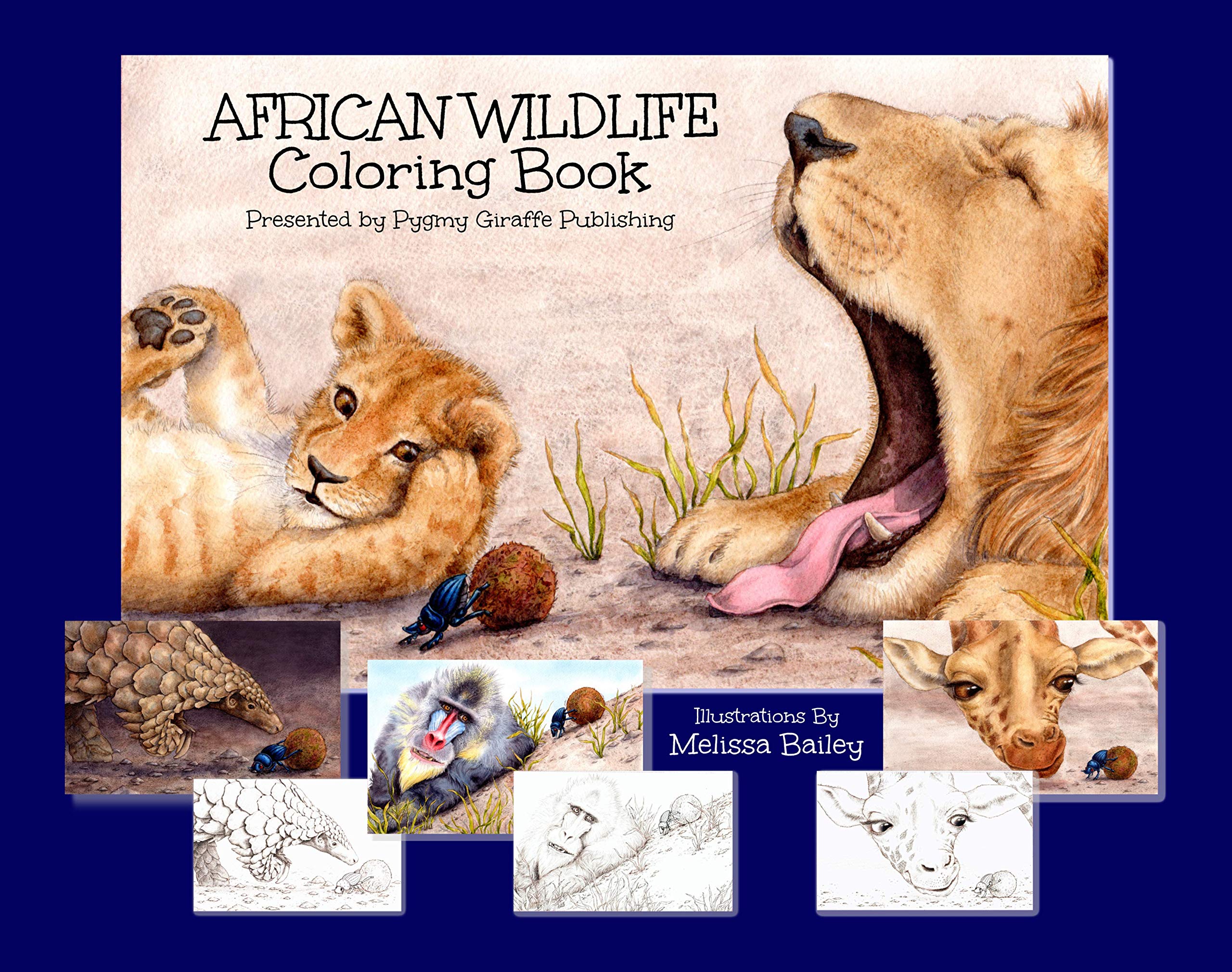 Download Amazon Com African Wildlife Coloring Book 9781733759809 Susan R Stoltz Melissa Bailey Melissa Bailey Books