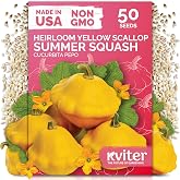 50 Patty Pan Yellow Squash Heirloom Vegetable Seeds, Cucurbita Pepo | Bush Summer Squash Seed Packets, Scallop Yellow Vegetable Heirloom Seeds for Planting Outdoors, Home Garden