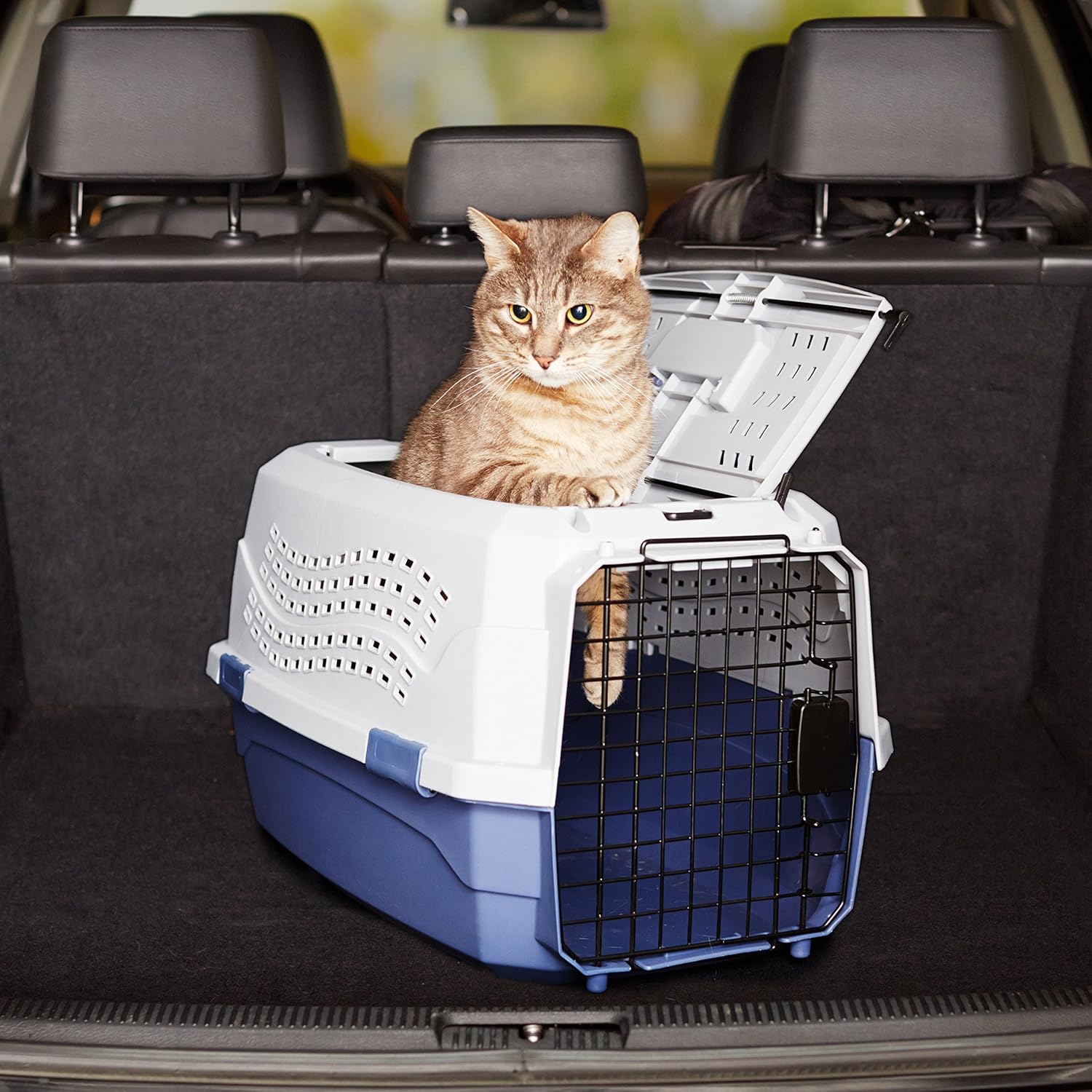 Basics Two-Door Top-Load Hard-Sided Pet Travel Carrier, 23-Inch : Pet Supplies