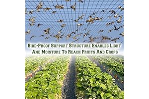 BenefitUSA Stronger Bird Netting Fruit Tree Protective Net Bird Net Pens Avaiary Game Poultry Mesh Black (50' X 100')