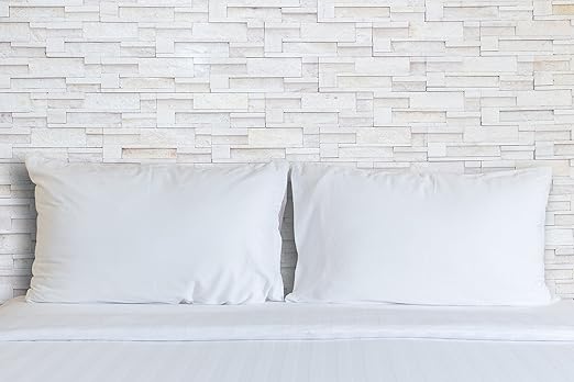 Amazon Com Set Of 2 Premium 100 Down Pillows 550 Fill Power
