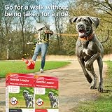 Beaphar Gentle Leader Head Collar for Small Dogs - Anti-Pull Training Aid - view 8