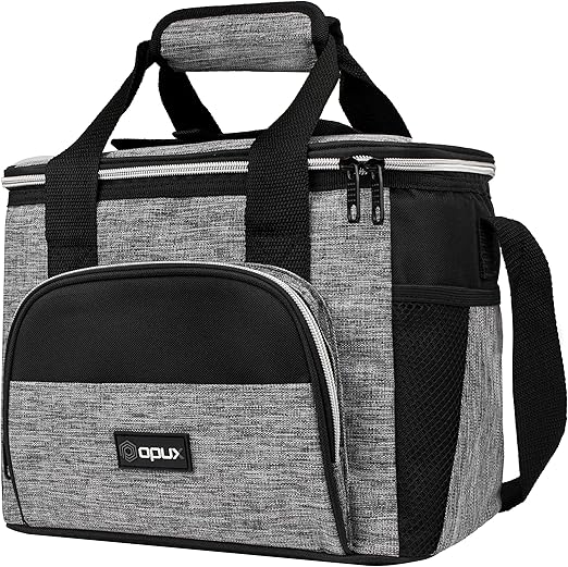 small travel cooler bag