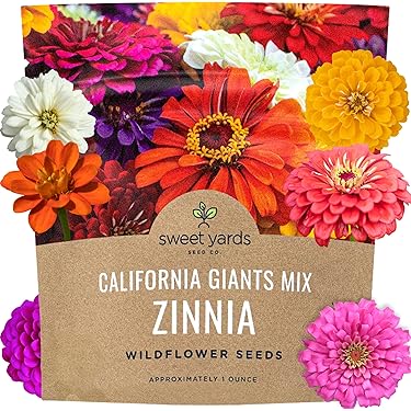 Amazon Best Sellers: Best Flower Plants & Seeds