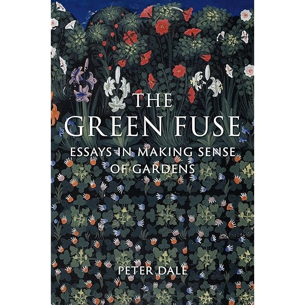 The Broad Collection: Bonami, Francesco, Cohen-Solal, Annie