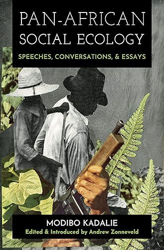 Download Pan-African Social Ecology: Speeches, Conversations, and Essays PDF
