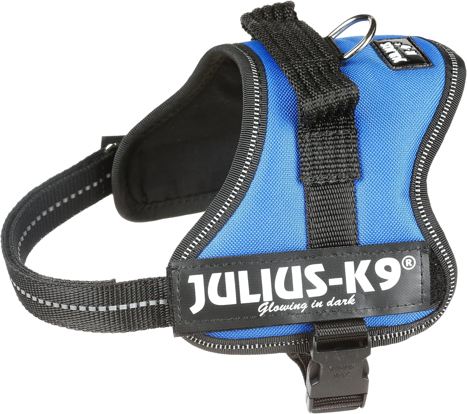 julius k9 jack russell size