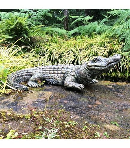 小物 2021 WILDSWANS SP PALM CROCODILE NATURAL 2021 WILDSWANS SP PALM CROCODILE NATURAL 小物