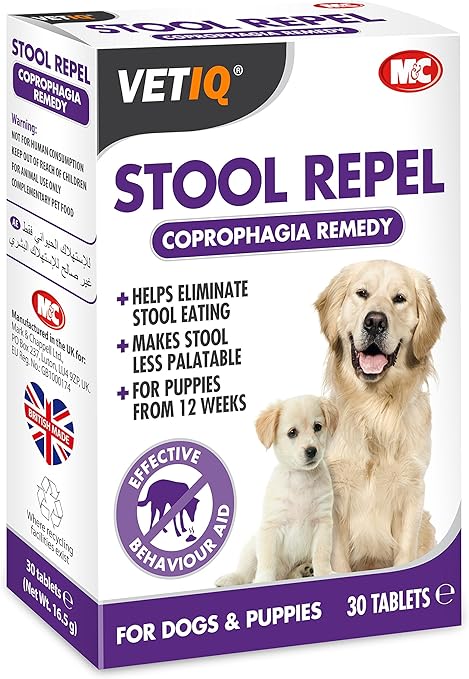 my puppy wont stop biting my feet