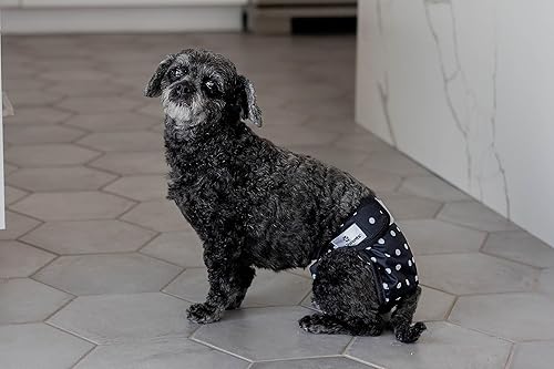 Pet Parents Premium Washable Dog Diapers Extendrs, (3pack) of