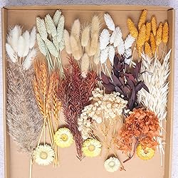 DIY Dried Flower Set, Bulk Dried Flowers,Autumn