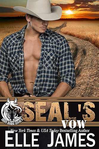 Download SEAL's Vow (Iron Horse Legacy Book 4) (English Edition) PDF