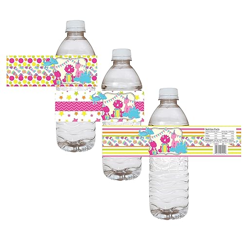 Amazon Com Girl Dinosaur Party Water Bottle Labels Children