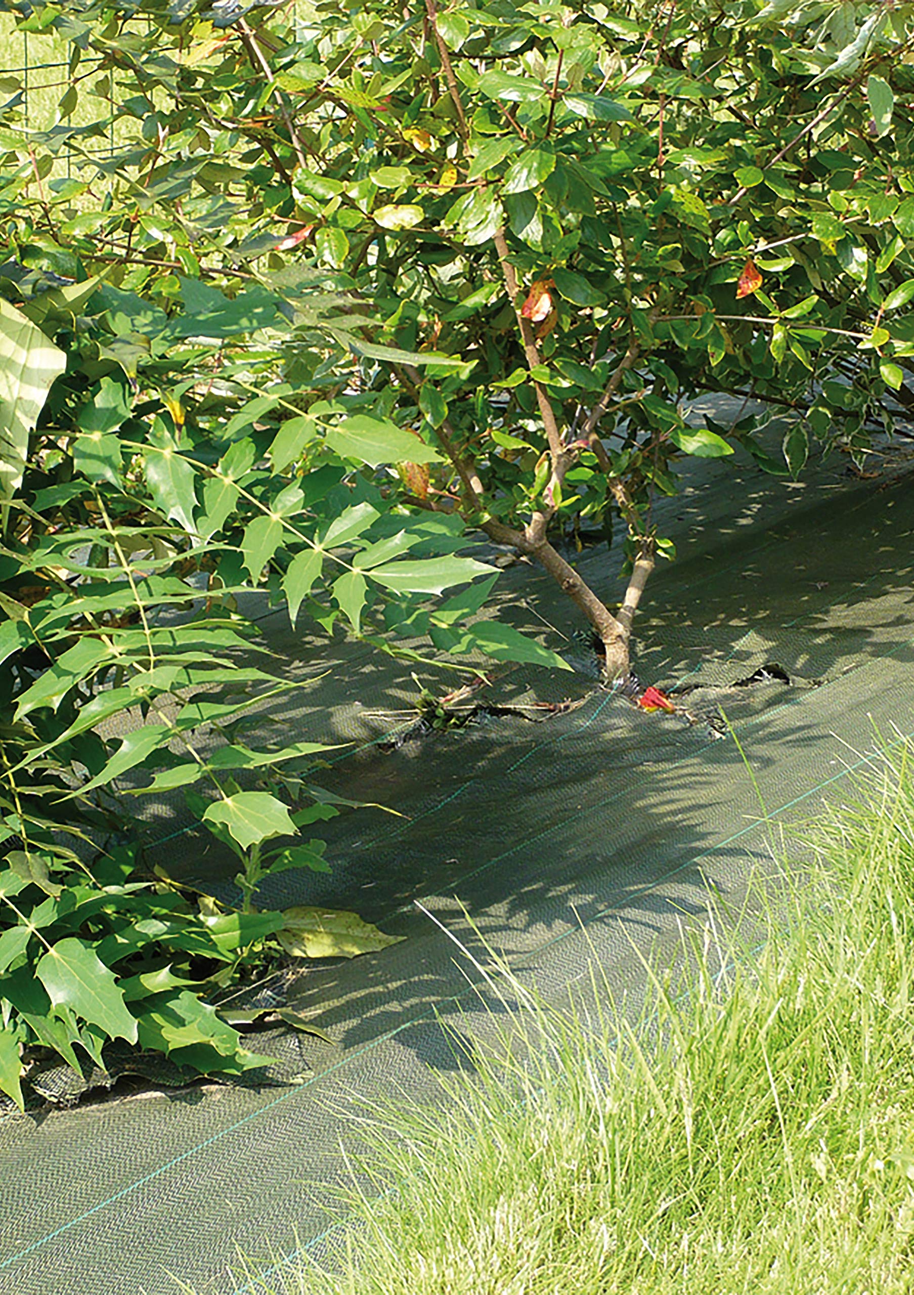 Vilmorin Pail Tis Green Canvas 1.05 x 10 TL