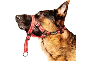 Zevey Adjustable Dog Head Halter with Safety Strap, Soft Padded Dog Head Collar for Small Medium Large Dogs, No-Pull Dog Harness for Training and Walking (X-Large, Red)