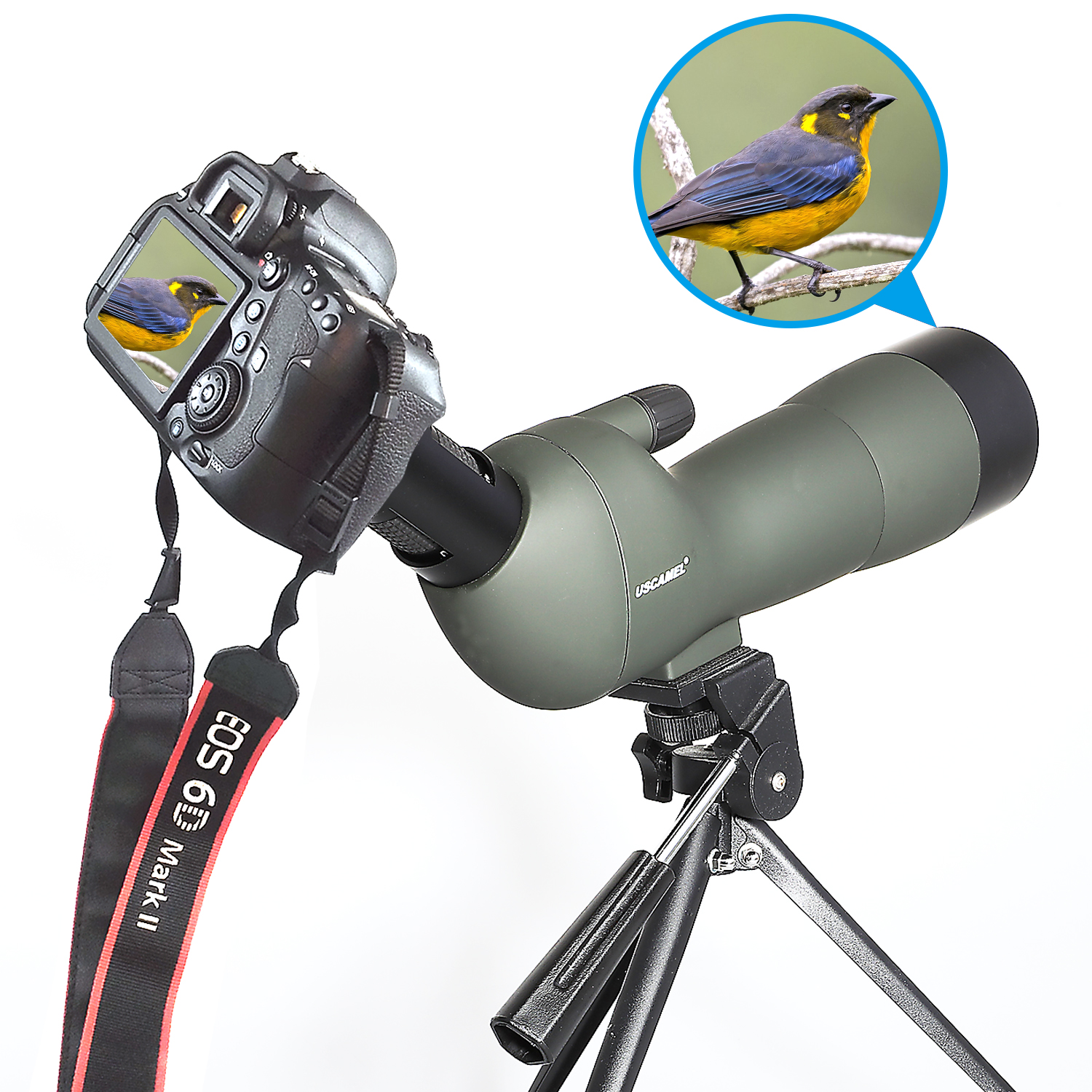 USCAMEL Spotting Scope 2060X60 Waterproof Birdwatching Monocular Telescope HD with Camera