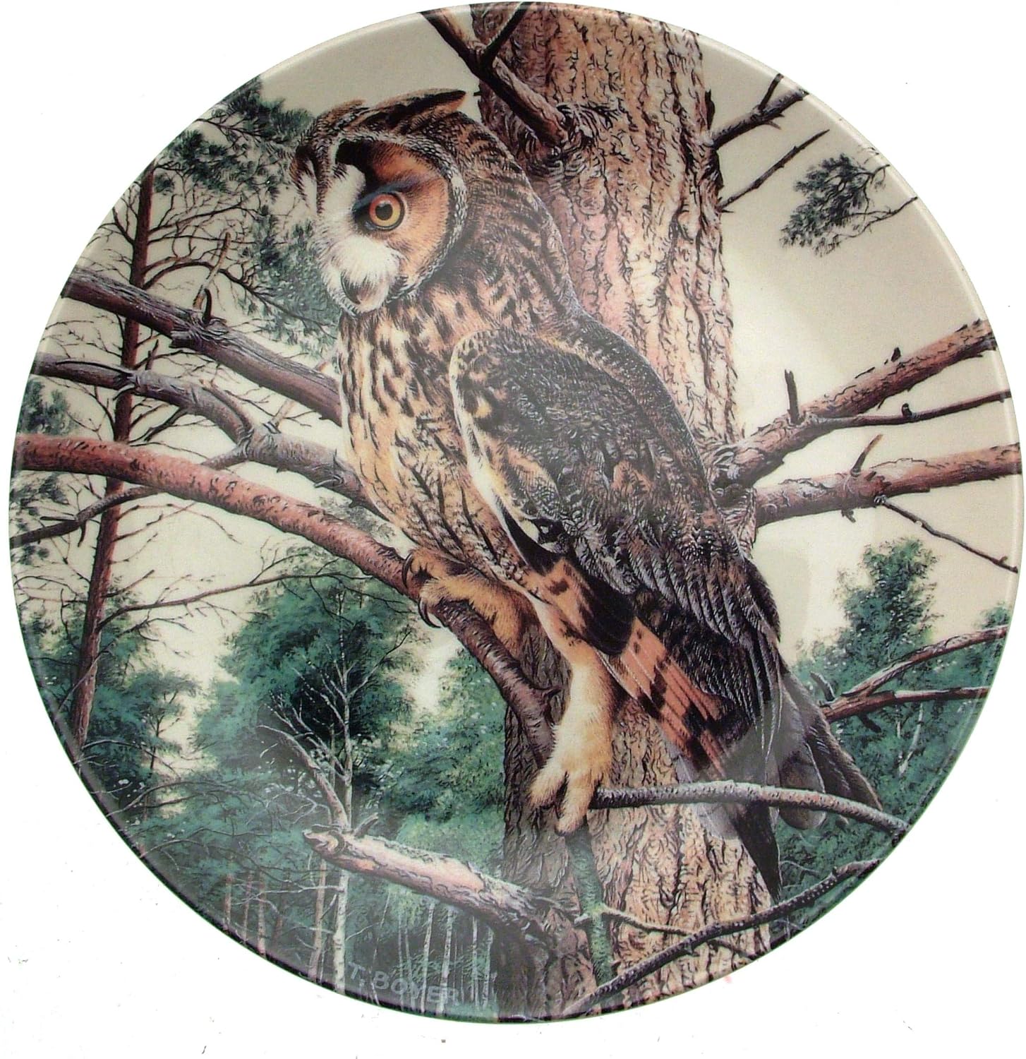 Danbury Mint Wedgwood The Majesty of Owls Long Eared Owl CP1508 Amazon
